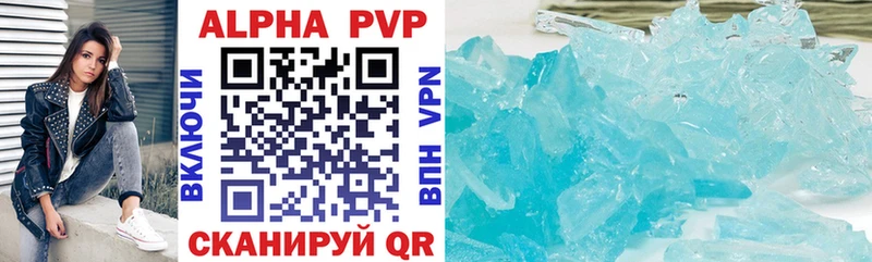 A PVP СК  Новороссийск 