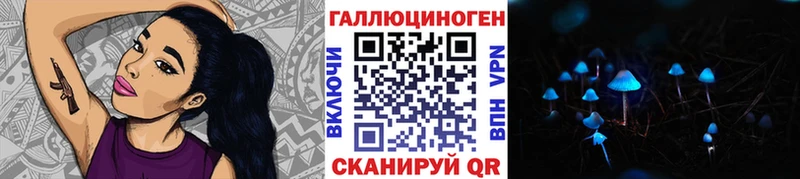 купить   ссылка на мегу ONION  Псилоцибиновые грибы Magic Shrooms  Новороссийск 
